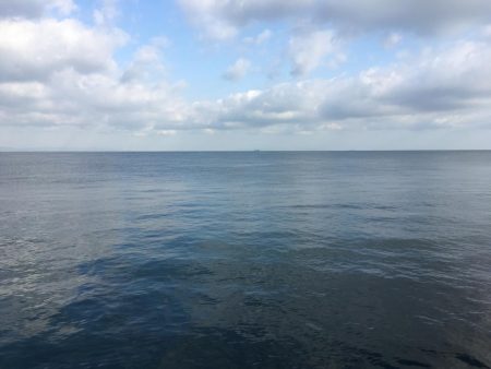 エソしかいません